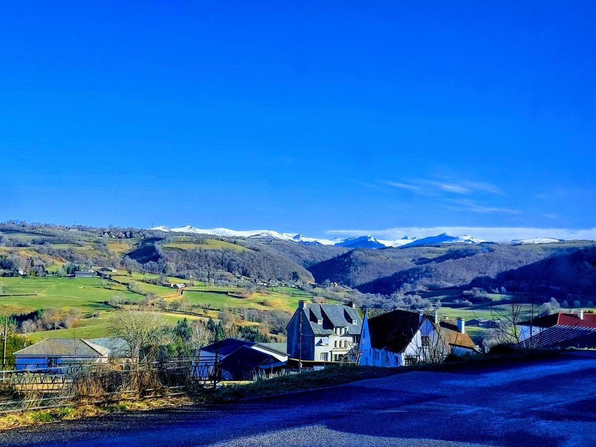 Gites Puy Mary Et Puy Griou Saint-Cernin  Zewnętrze zdjęcie
